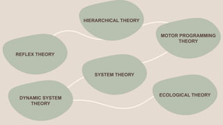 REFLEX THEORY
HIERARCHICAL THEORY
MOTOR PROGRAMMING
THEORY
SYSTEM THEORY
DYNAMIC SYSTEM
THEORY
ECOLOGICAL THEORY
 