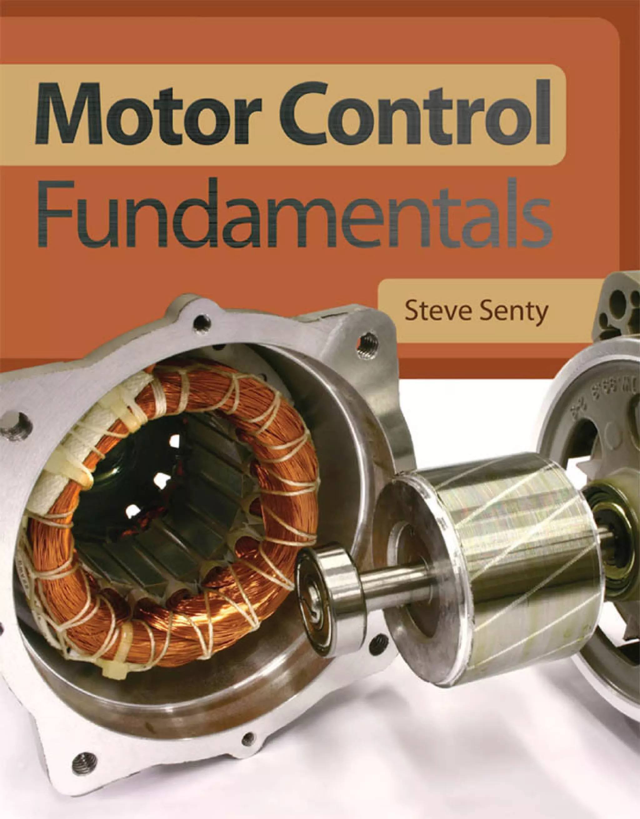 Motor control fundamentals PDF