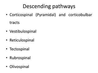 Descending pathways
• Corticospinal (Pyramidal) and corticobulbar
  tracts

• Vestibulospinal

• Reticulospinal

• Tectospinal

• Rubrospinal

• Olivospinal
 