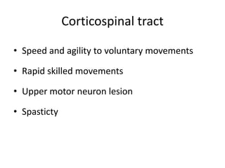 Corticospinal tract

• Speed and agility to voluntary movements

• Rapid skilled movements

• Upper motor neuron lesion

• Spasticty
 