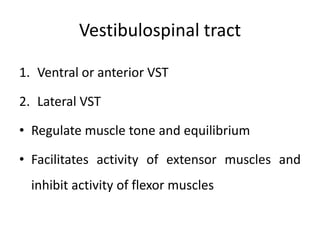 Vestibulospinal tract

1. Ventral or anterior VST

2. Lateral VST

• Regulate muscle tone and equilibrium

• Facilitates activity of extensor muscles and
  inhibit activity of flexor muscles
 