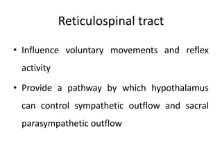 Reticulospinal tract

• Influence voluntary movements and reflex
 activity

• Provide a pathway by which hypothalamus
 can control sympathetic outflow and sacral
 parasympathetic outflow
 