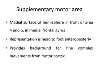 Supplementary motor area

• Medial surface of hemisphere in front of area
  4 and 6, in medial frontal gyrus

• Representation is head to foot anteroposterly

• Provides   background     for      fine   complex
  movements from motor cortex
 
