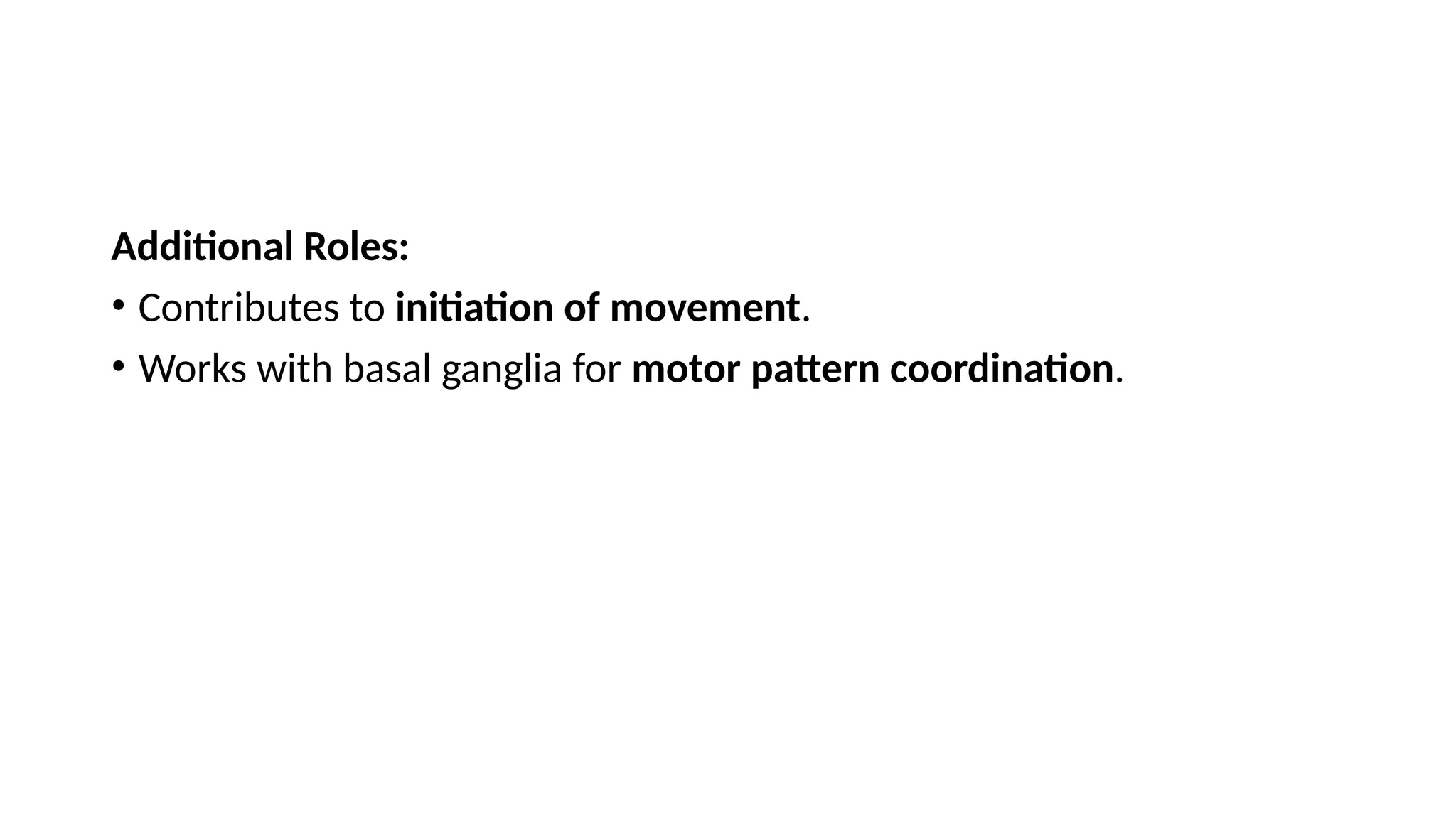 Additional Roles:
• Contributes to initiation of movement.
• Works with basal ganglia for motor pattern coordination.
 