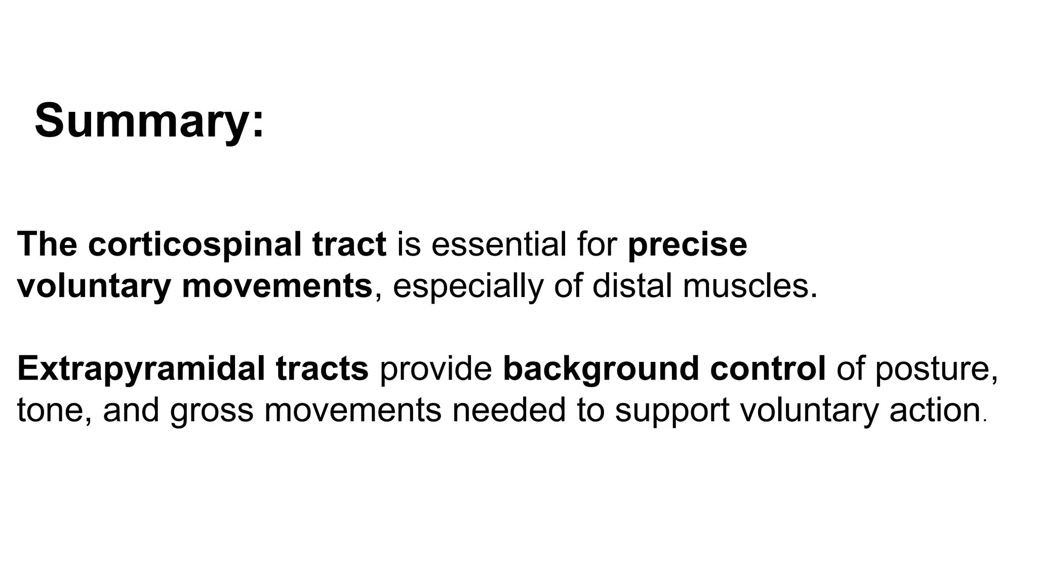 Summary:
The corticospinal tract is essential for precise
voluntary movements, especially of distal muscles.
Extrapyramidal tracts provide background control of posture,
tone, and gross movements needed to support voluntary action.
 
