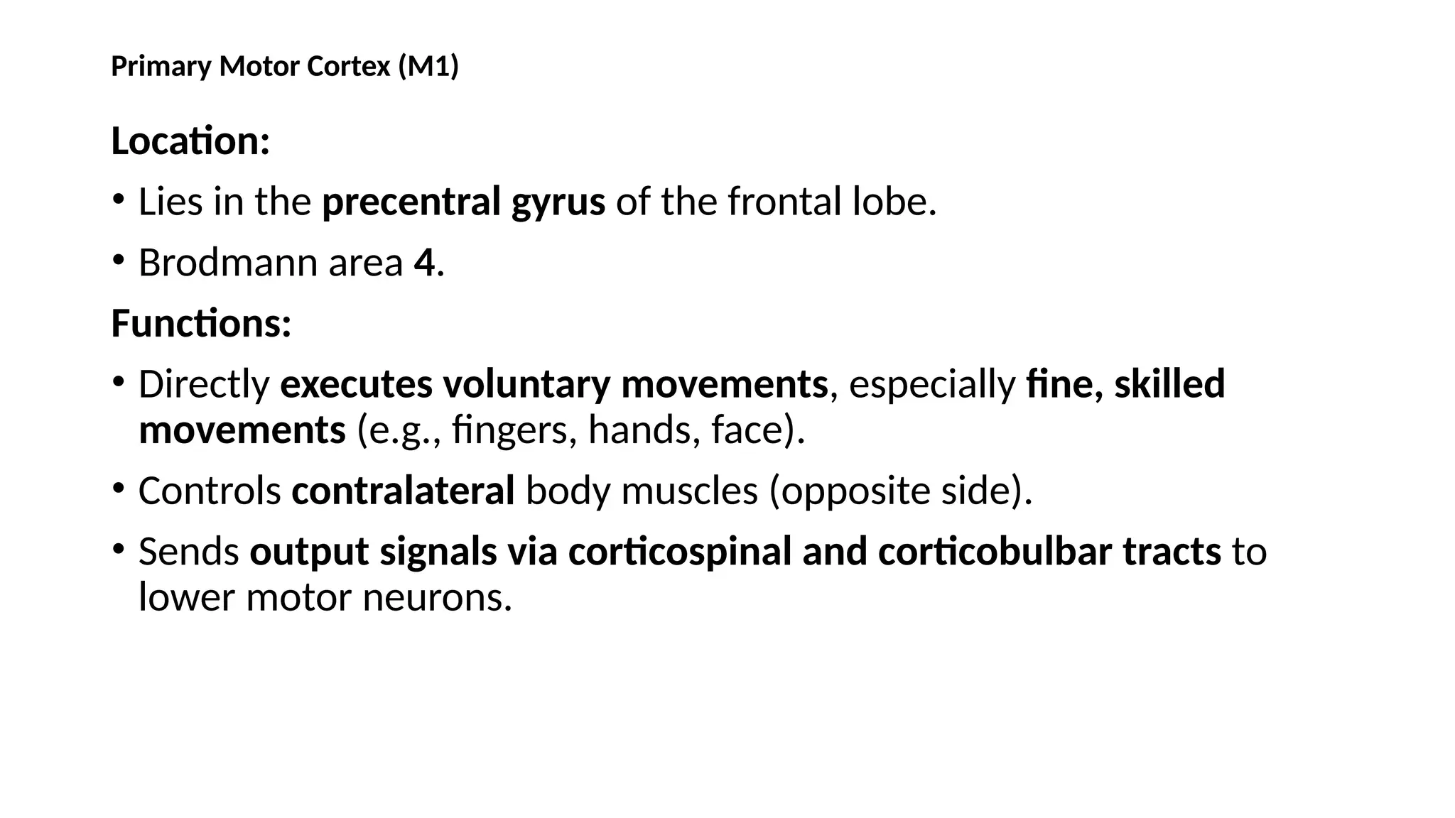 Primary Motor Cortex (M1)
Location:
• Lies in the precentral gyrus of the frontal lobe.
• Brodmann area 4.
Functions:
• Directly executes voluntary movements, especially fine, skilled
movements (e.g., fingers, hands, face).
• Controls contralateral body muscles (opposite side).
• Sends output signals via corticospinal and corticobulbar tracts to
lower motor neurons.
 