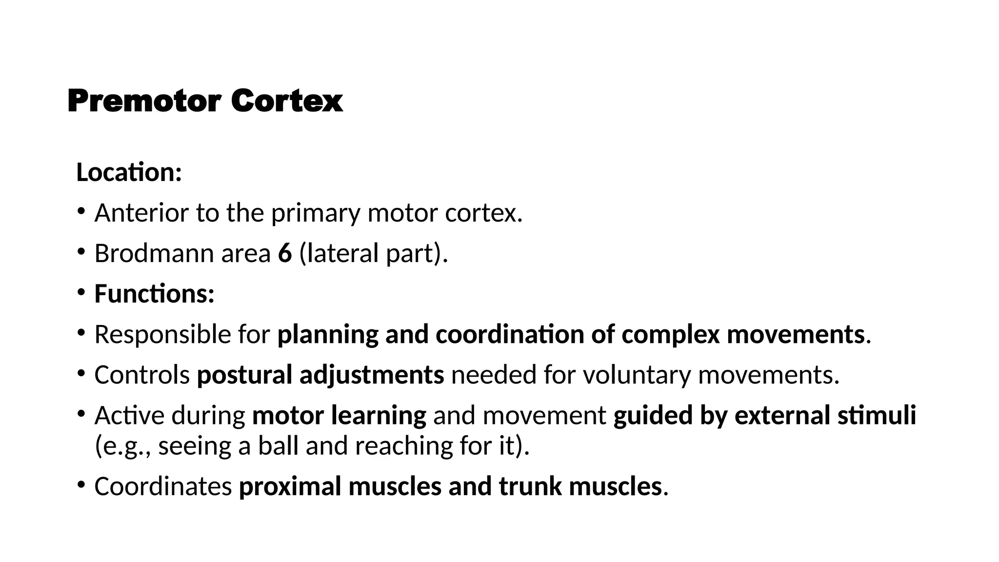 Premotor Cortex
Location:
• Anterior to the primary motor cortex.
• Brodmann area 6 (lateral part).
• Functions:
• Responsible for planning and coordination of complex movements.
• Controls postural adjustments needed for voluntary movements.
• Active during motor learning and movement guided by external stimuli
(e.g., seeing a ball and reaching for it).
• Coordinates proximal muscles and trunk muscles.
 