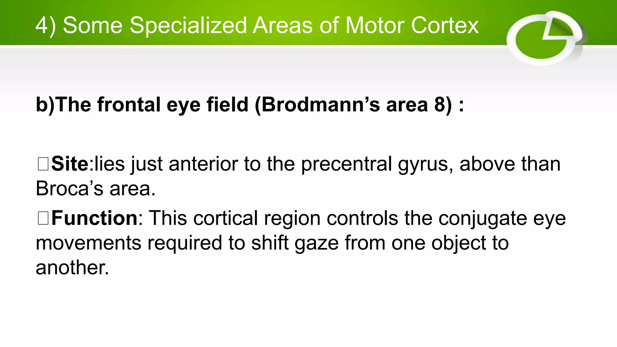 Motor cortex areas and physiology of stroke | PPTX