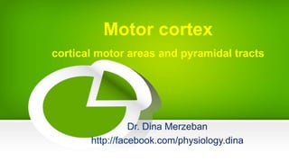 Motor cortex
cortical motor areas and pyramidal tracts
 