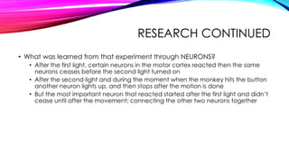 RESEARCH CONTINUED
• What was learned from that experiment through NEURONS?
• After the first light, certain neurons in the motor cortex reacted then the same
neurons ceases before the second light turned on
• After the second light and during the moment when the monkey hits the button
another neuron lights up, and then stops after the motion is done
• But the most important neuron that reacted started after the first light and didn’t
cease until after the movement; connecting the other two neurons together
 