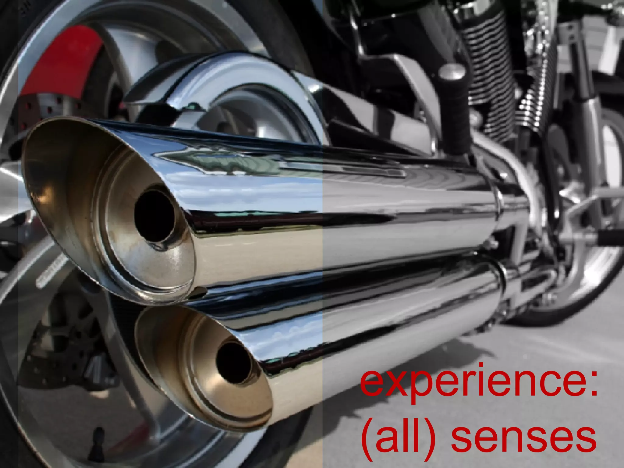 experience: (all) senses 