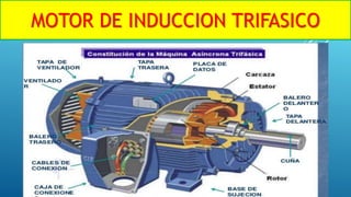 MOTOR DE INDUCCION TRIFASICO
 