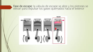 Fase de escape: la válvula de escape se abre y los pistones se
elevan para expulsar los gases quemados hacia el exterior
 