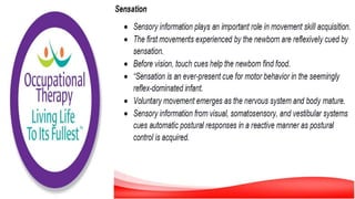Motor Development and Motor Control
