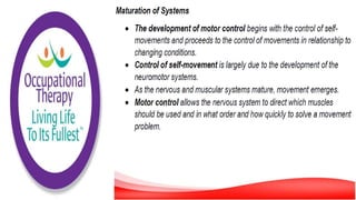 Motor Development and Motor Control