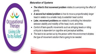 Motor Development and Motor Control