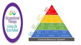 Motor Development and Motor Control