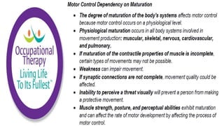 Motor Development and Motor Control