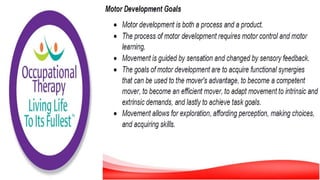 Motor Development and Motor Control