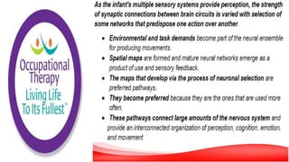 Motor Development and Motor Control