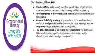 Motor Development and Motor Control