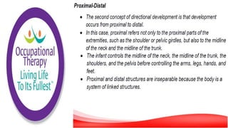 Motor Development and Motor Control