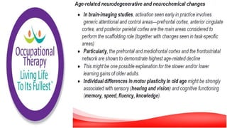 Motor Development and Motor Control