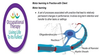 Motor Development and Motor Control