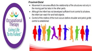 Motor Development and Motor Control