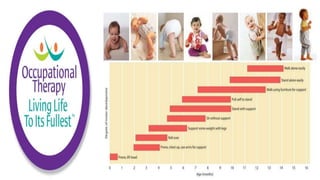 Motor Development and Motor Control