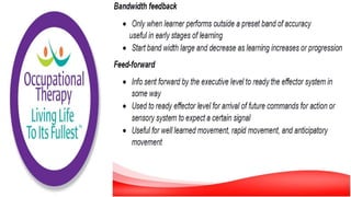 Motor Development and Motor Control