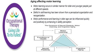 Motor Development and Motor Control