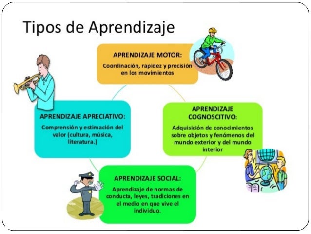 aprendizaje motriz