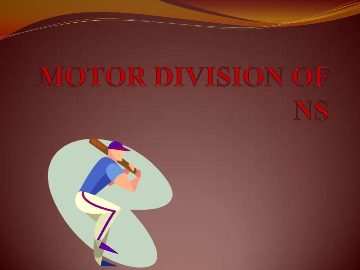 Motor division of nervous system
