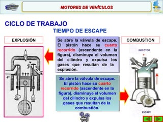 Se abre la válvula de escape.
El pistón hace su cuarto
recorrido (ascendente en la
figura), disminuye el volumen
del cilindro y expulsa los
gases que resultan de la
explosión.
Se abre la válvula de escape.
El pistón hace su cuarto
recorrido (ascendente en la
figura), disminuye el volumen
del cilindro y expulsa los
gases que resultan de la
explosión.
CICLO DE TRABAJO
Se abre la válvula de escape.
El pistón hace su cuarto
recorrido (ascendente en la
figura), disminuye el volumen
del cilindro y expulsa los
gases que resultan de la
combustión.
Se abre la válvula de escape.
El pistón hace su cuarto
recorrido (ascendente en la
figura), disminuye el volumen
del cilindro y expulsa los
gases que resultan de la
combustión.
EXPLOSIÓN COMBUSTIÓN
TIEMPO DE ESCAPE
MOTORES DE VEHÍCULOSMOTORES DE VEHÍCULOS
 