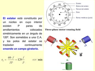 El estator está constituido por
un núcleo en cuyo interior
existen P pares de
arrollamientos colocados
simétricamente en un ángulo de
120º. Son sometidos a una C.A.
y los polos del estator se
trasladan continuamente
creando un campo giratorio.
 