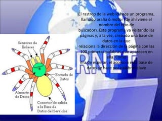 El rastreo de la web lo hace un programa,
 llamado araña ó motor (de ahí viene el
            nombre del tipo de
buscador). Este programa va visitando las
 páginas y, a la vez, creando una base de
              datos en la que
relaciona la dirección de la página con las
 100 primeras palabras que aparecen en
                 ella. Como
 era de esperar, el acceso a esta base de
     datos se hace por palabras clave
 