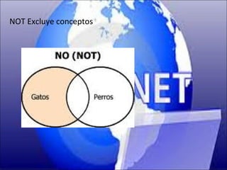 NOT Excluye conceptos
 