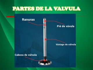 PARTES DE LA VALVULA
 