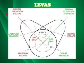 LEVAS
 