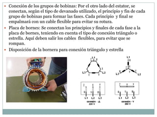  Conexión de los grupos de bobinas: Por el otro lado del estator, se
  conectan, según el tipo de devanado utilizado, el principio y fin de cada
  grupo de bobinas para formar las fases. Cada principio y final se
  empalmará con un cable flexible para evitar su rotura.
 Placa de bornes: Se conectan los principios y finales de cada fase a la
  placa de bornes, teniendo en cuenta el tipo de conexión triángulo o
  estrella. Aquí deben salir los cables flexibles, para evitar que se
  rompan.
 Disposición de la bornera para conexión triángulo y estrella
 