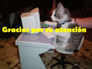 Gracias por su atención

 
