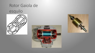 Rotor Gaiola de
esquilo
 