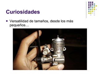 Curiosidades Versatilidad de tamaños, desde los más pequeños… 