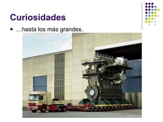 Curiosidades … hasta los más grandes. 