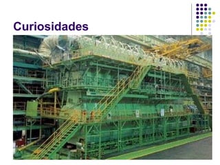 Curiosidades 