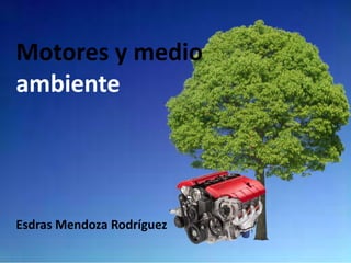 Motores y medio
ambiente

Esdras Mendoza Rodríguez

 