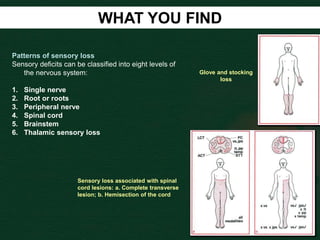 WHAT YOU FIND
Patterns of sensory loss
Sensory deficits can be classified into eight levels of
the nervous system:
1. Single nerve
2. Root or roots
3. Peripheral nerve
4. Spinal cord
5. Brainstem
6. Thalamic sensory loss
Sensory loss associated with spinal
cord lesions: a. Complete transverse
lesion; b. Hemisection of the cord
Glove and stocking
loss
 