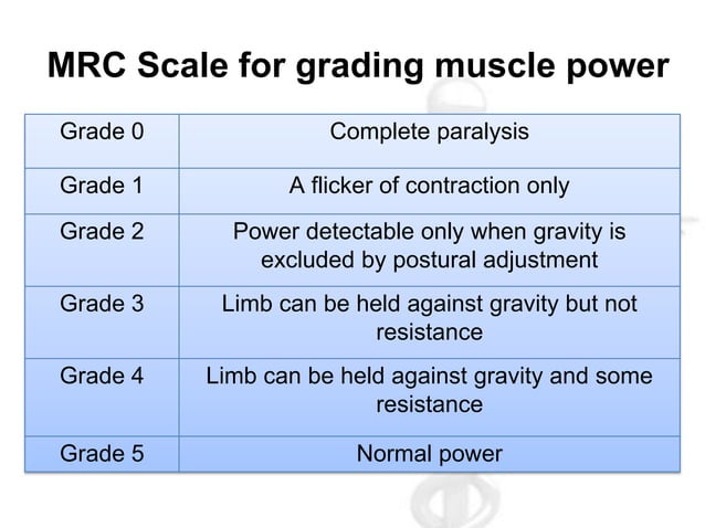 motor-system-examination
