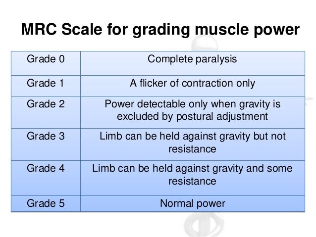motor-system-examination